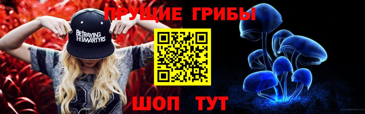 Галлюциногенные грибы Psilocybe Омск